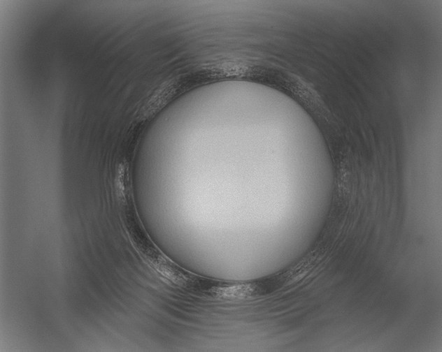 X0000052930122200507300002