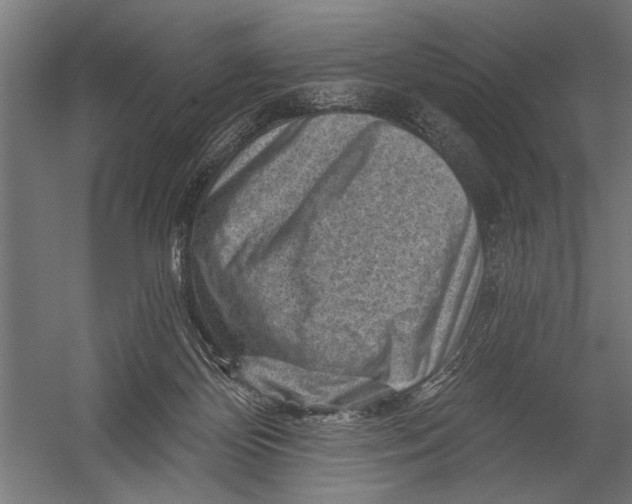 X0000052930124200507300002