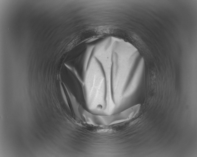 X0000052930125200507300002