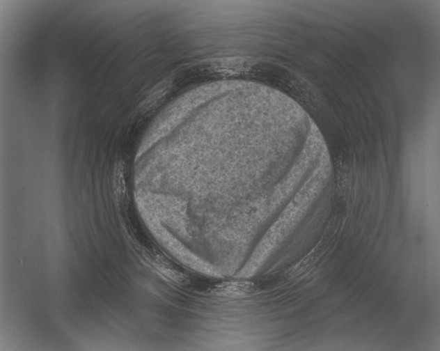 X0000052930128200507300002