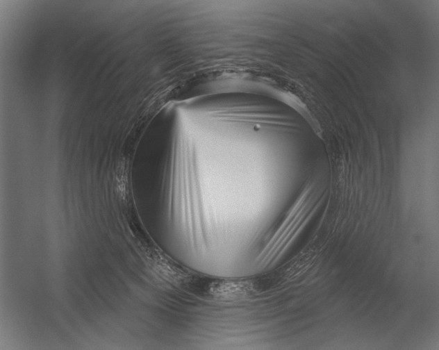 X0000052930129200507300002