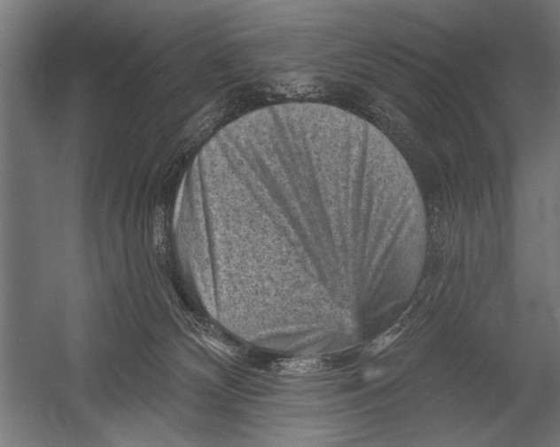 X0000052930132200507300002