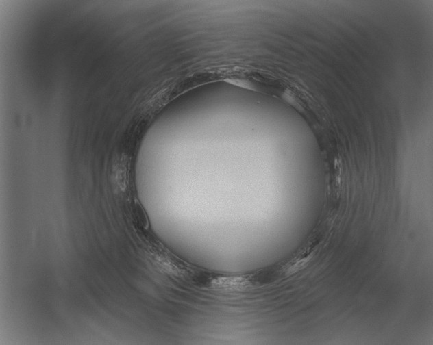 X0000052930133200507300002