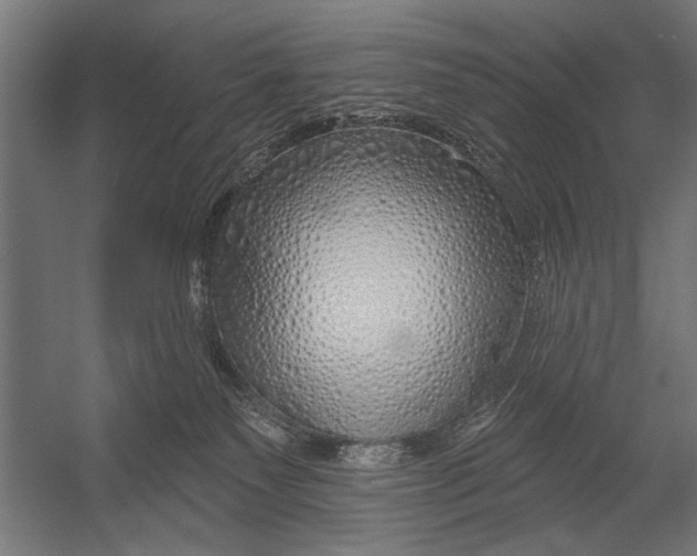 X0000052930135200507300002