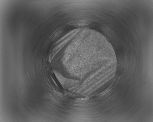 X0000052930140200507300002
