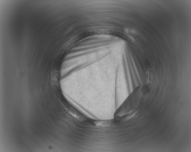 X0000052930141200507300002