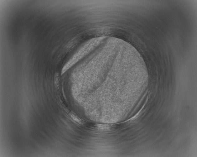 X0000052930144200507300002