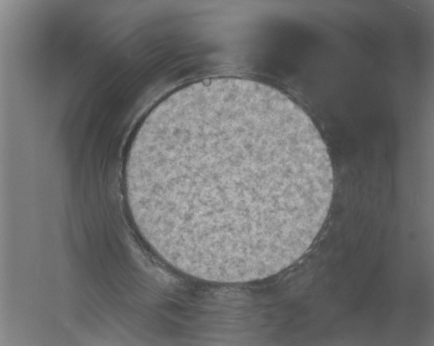 X0000052930146200507300001