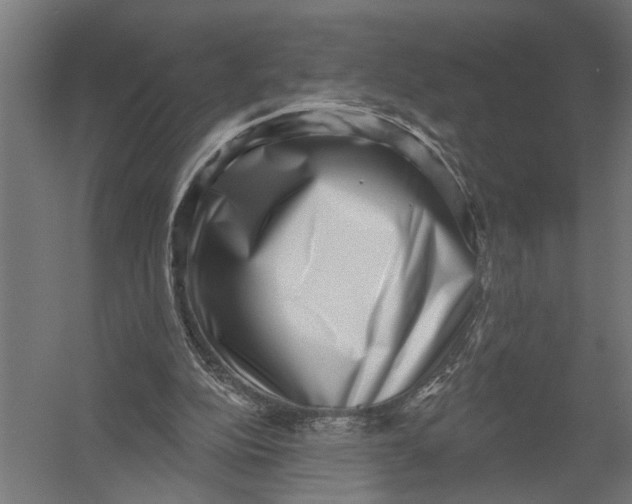 X0000052930152200507300001