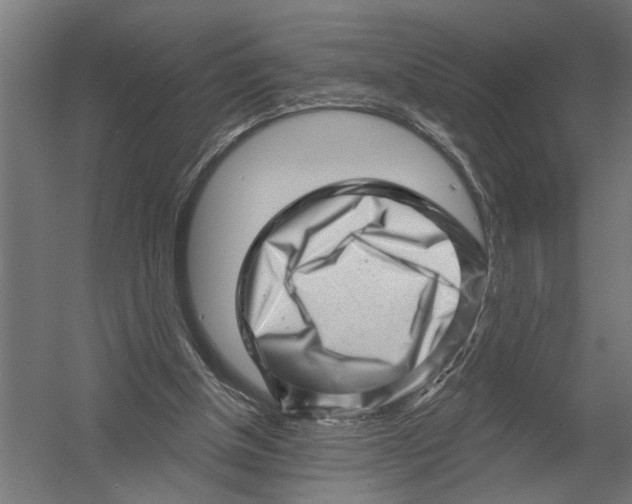 X0000052930154200507300001