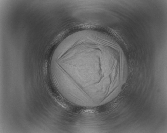 X0000052930163200507300001