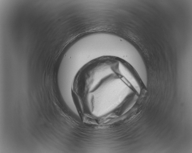 X0000052930164200507300001