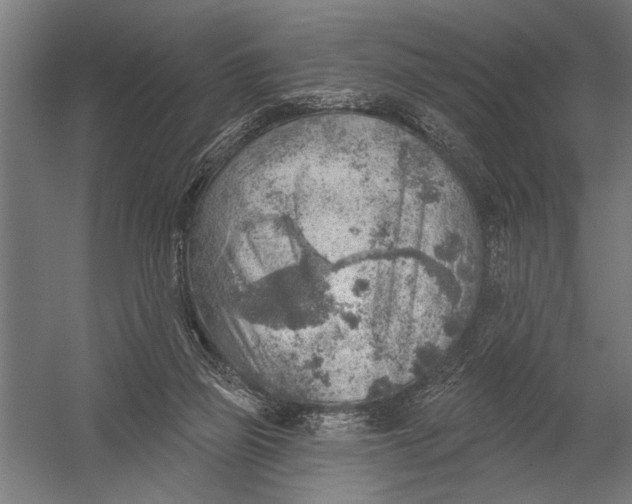 X0000052930165200507300001