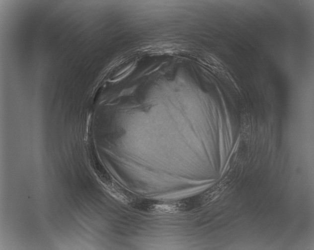 X0000052930167200507300001