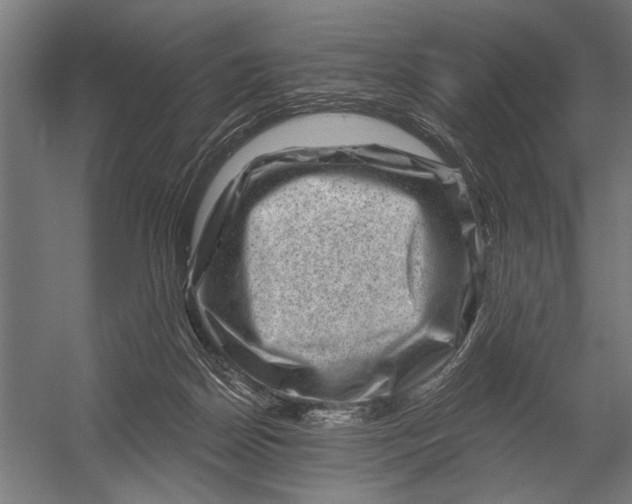 X0000052930170200507300001