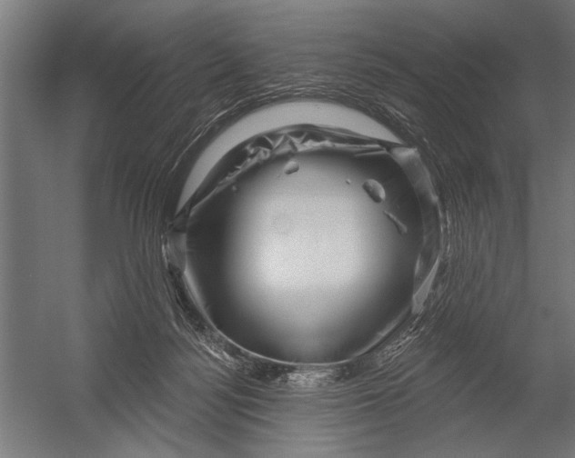 X0000052930172200507300001