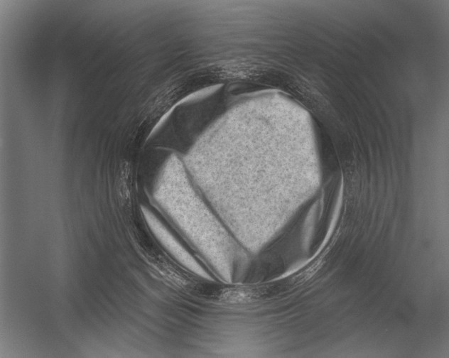 X0000052930174200507300001