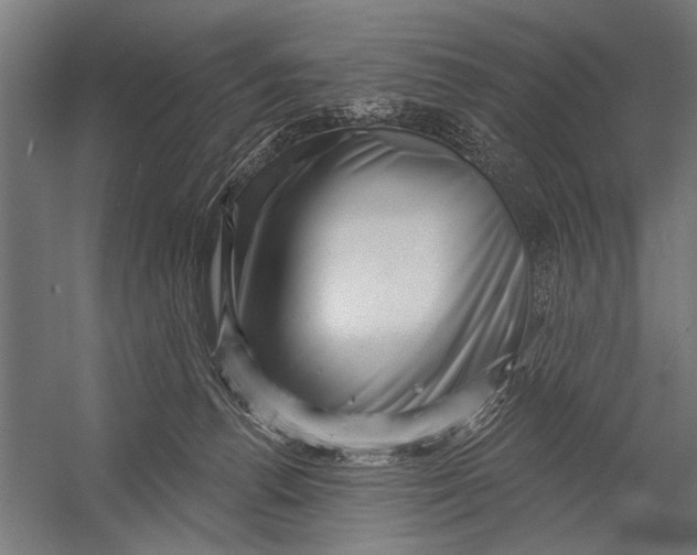 X0000052930176200507300001
