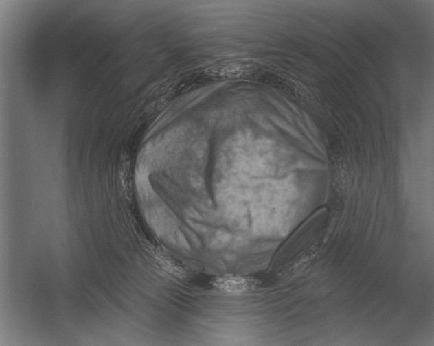 X0000052930181200507300001