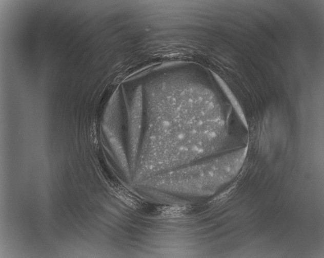 X0000052930182200507300001