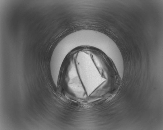 X0000052930184200507300002