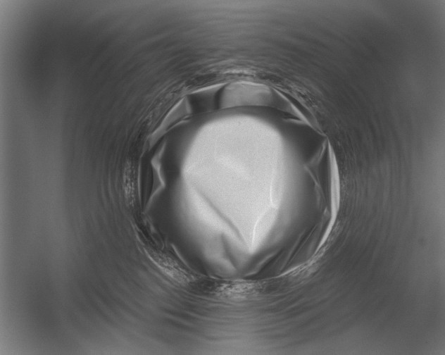 X0000052930186200507300002