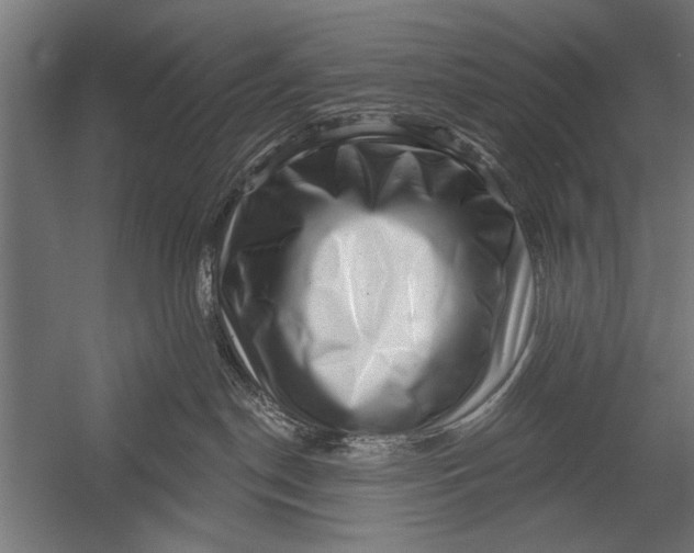 X0000052930190200507300002