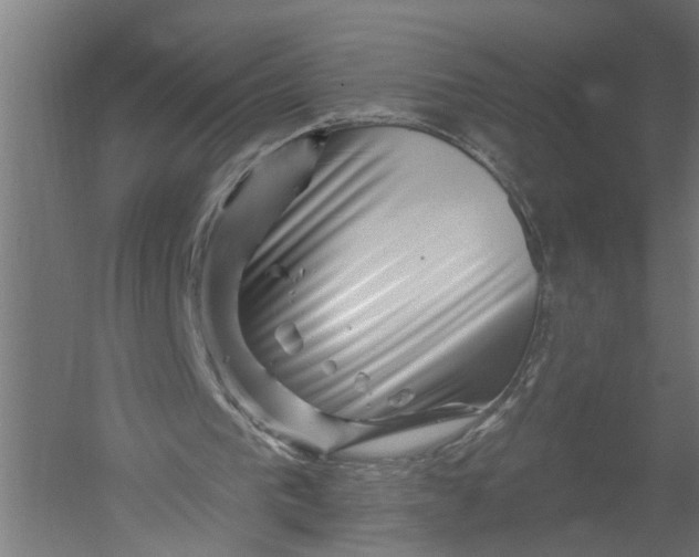 X0000052930193200507300001