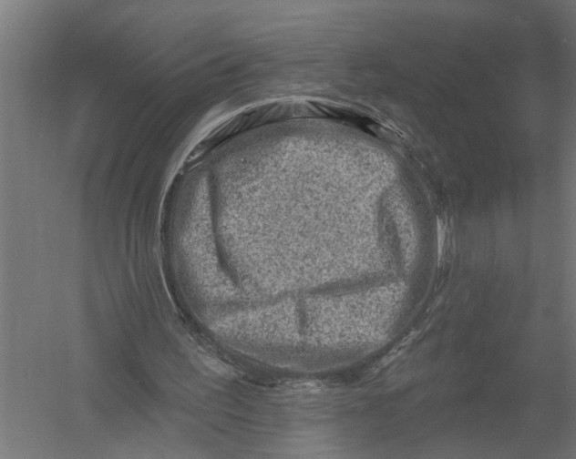 X0000052930195200507300001