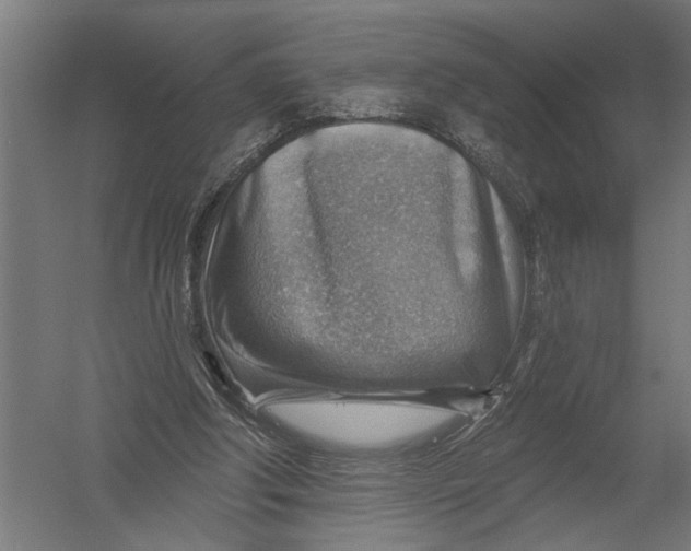 X0000052930202200507300001