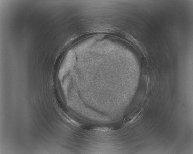 X0000052930203200507300001