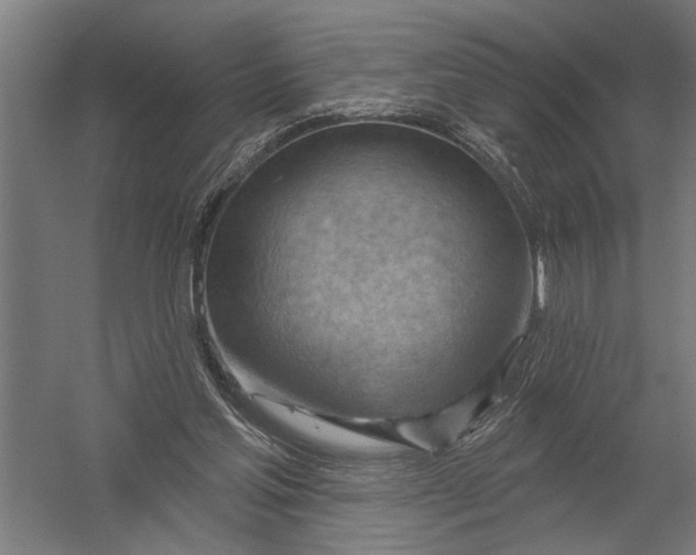 X0000052930205200507300001