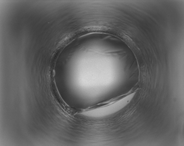 X0000052930207200507300001