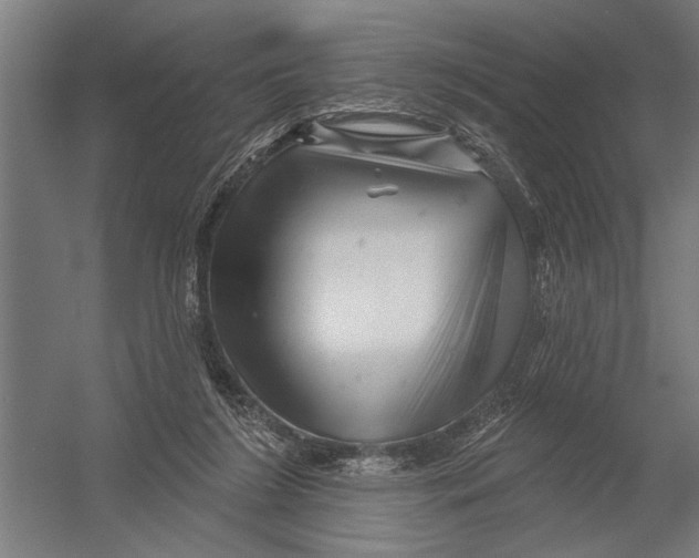 X0000052930212200507300001
