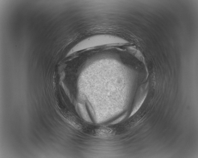 X0000052930215200507300000