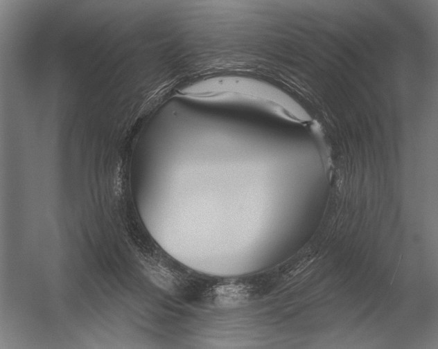 X0000052930216200507300000