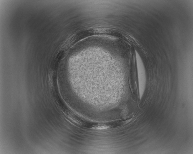 X0000052930217200507300000