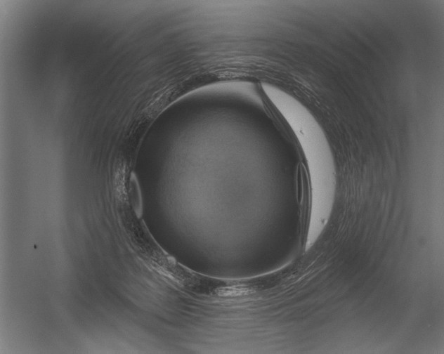 X0000052930219200507300000