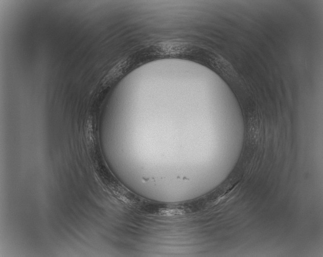 X0000052930220200507300000