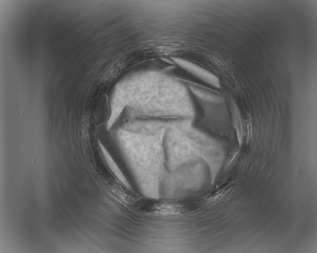 X0000052930221200507300000