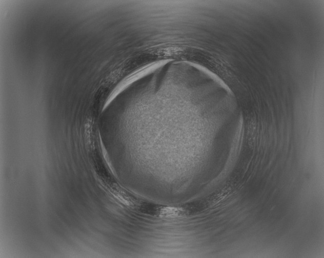 X0000052930222200507300000