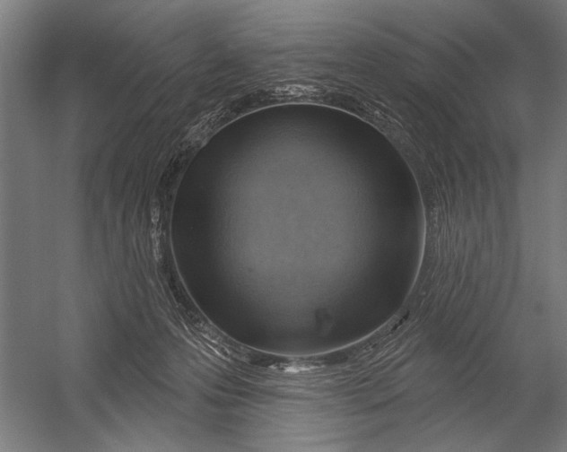 X0000052930223200507300000