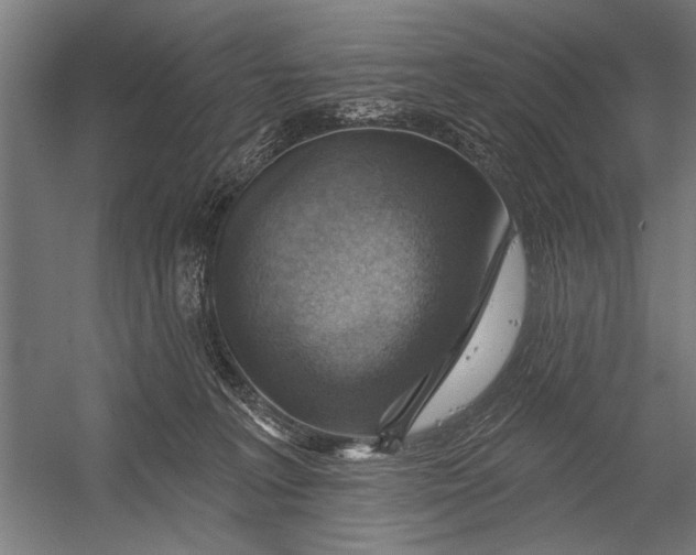 X0000052930227200507300000