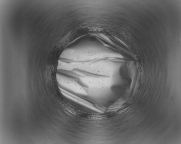 X0000052930229200507300000