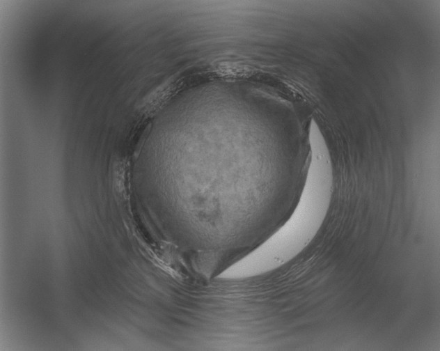 X0000052930233200507300000