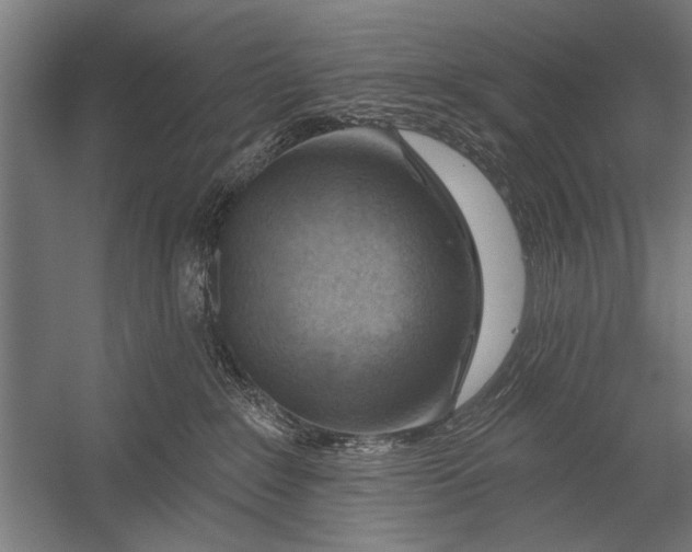 X0000052930235200507300000