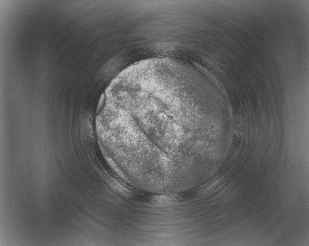 X0000052930238200507300000