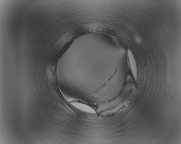 X0000052930239200507300000
