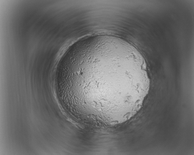 X0000052930241200507292359