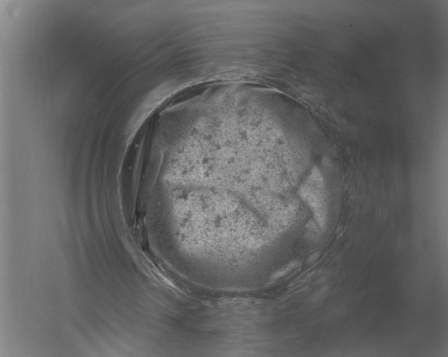 X0000052930242200507292359